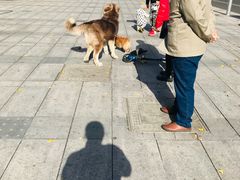 -新影联东环影城