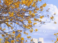 -绿雅居原生态农庄(小涌店)