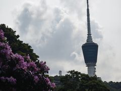 -梧桐山风景名胜区