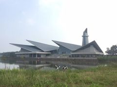 -盐城丹顶鹤湿地生态旅游区