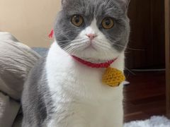 -佳雯宠物医院(四明中路分院)