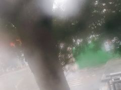 -椿记烧鹅(北门店)