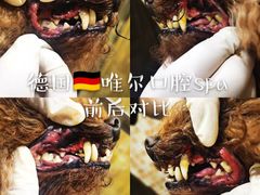 -汪小喵宠物·戴维斯乐芳希施宠馨宝皮毛调理洗护店