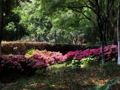 -常州古运河南大街文化旅游区-人民公园