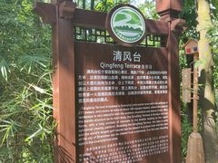 -大屏嶂森林公园