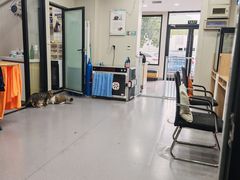 -瑞派宠物医院·犬猫全科·猫友好(宾水西道店)
