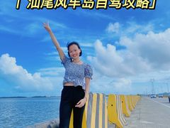 -汕尾风车岛