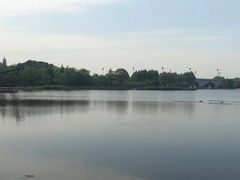 -尚贤河湿地