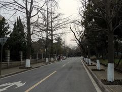 -八大关景区