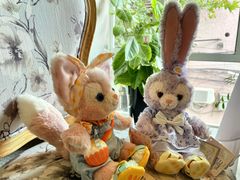 -蝶舍·MAISON PAPILLON