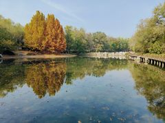 -云岗森林公园