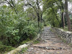 -阳台山自然风景区