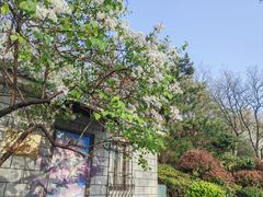 -北岭山森林公园