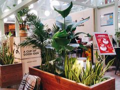 -Seesaw Coffee(上海太阳宫K46店)