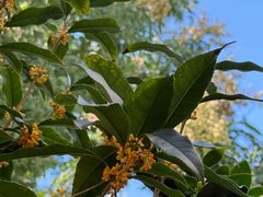 -Beans Solo豆号咖啡(百家湖花园店)