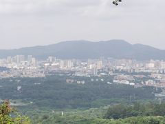 -火炉山森林公园