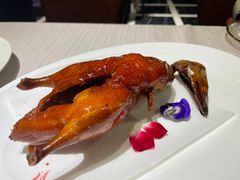 -翠府(翠湖北路店)