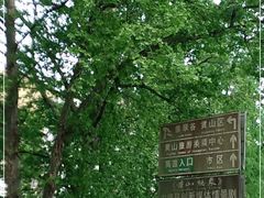 -黄山翡翠谷景区