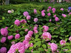 -常州古运河南大街文化旅游区-人民公园