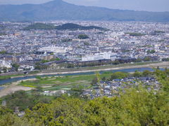 -岚山猴子公园
