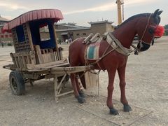 -镇北堡西部影城