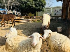 -HERRE·FARM 赫尔露营农场·团建聚会包场