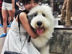 -TrueLove @ Neverland (Husky Cafe)