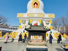 -护国法轮寺