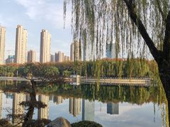 -后襄河公园