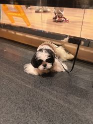 -G-STEPS舞蹈工作室