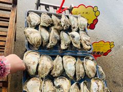 -蚝专家(北滘店)