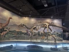 -辽宁古生物博物馆