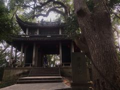 -溪口-滕头旅游景区