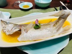 -十八棵（老龙井）御茶园(老龙井店)