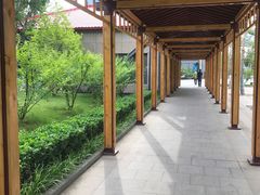-首都医科大学附属北京潞河医院