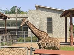 -石家庄市动物园