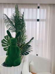 -白月光皮肤管理·德国LDM