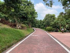 -大屏嶂森林公园