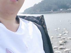-烟墩角天鹅湖