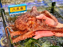 -明记海鲜大排档(巽寮湾店)
