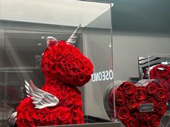-ROSEONLY诺誓(国际广场购物中心店)