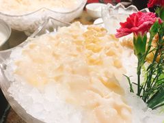 加拿大象拔蚌-好彩海鲜火锅饭店(银河百老汇店)