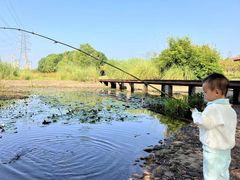 -四里河滨水生态公园