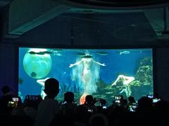 -海合安武汉极地海洋公园