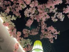 -徽镇小厨·经典徽菜(马连道店)