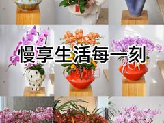 -F.Story 花和故事(新天地店)