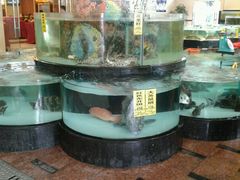 水产区-东豪园林海鲜酒家(南港路辅路店)