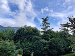 -广州市流溪河国家森林公园