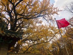 -青岛崂山太清宫
