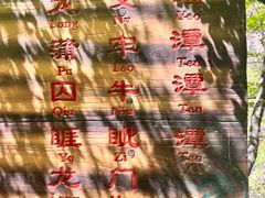 -九龙潭景区